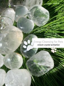 energy cleansing for pets, crystals for pets dogs cats
